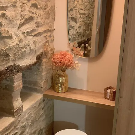 De Charme Avec Piscine Dans Un Environnement Bucolique Hébergement de vacances Les Forges (Vendee)